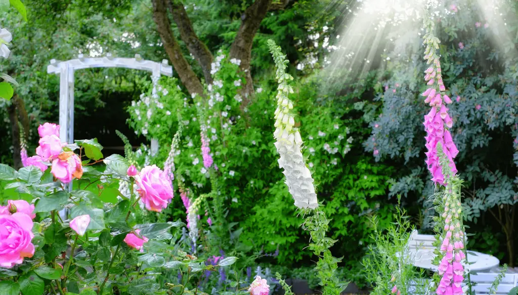 creating the perfect cottage garden a charming blend of beauty and bounty sandy lane nursery