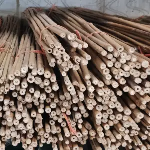 3ft (90cm) Plant Support Canes, sturdy canes designed to support climbing plants and flowers in UK gardens, ensuring healthy and upright growth.