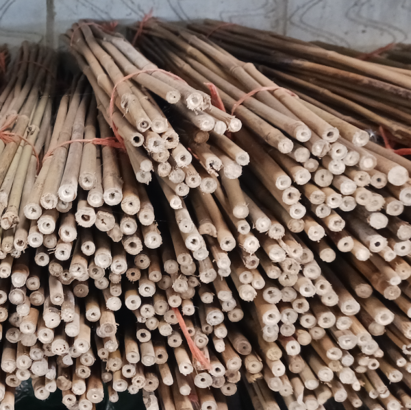 3ft (90cm) Plant Support Canes, sturdy canes designed to support climbing plants and flowers in UK gardens, ensuring healthy and upright growth.