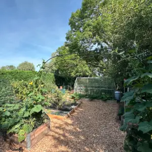 beginner gardening tips your guide to growing green thumbs guest blogger rikki webster @theguysatgreenacre instagram sandy lane nursery blog