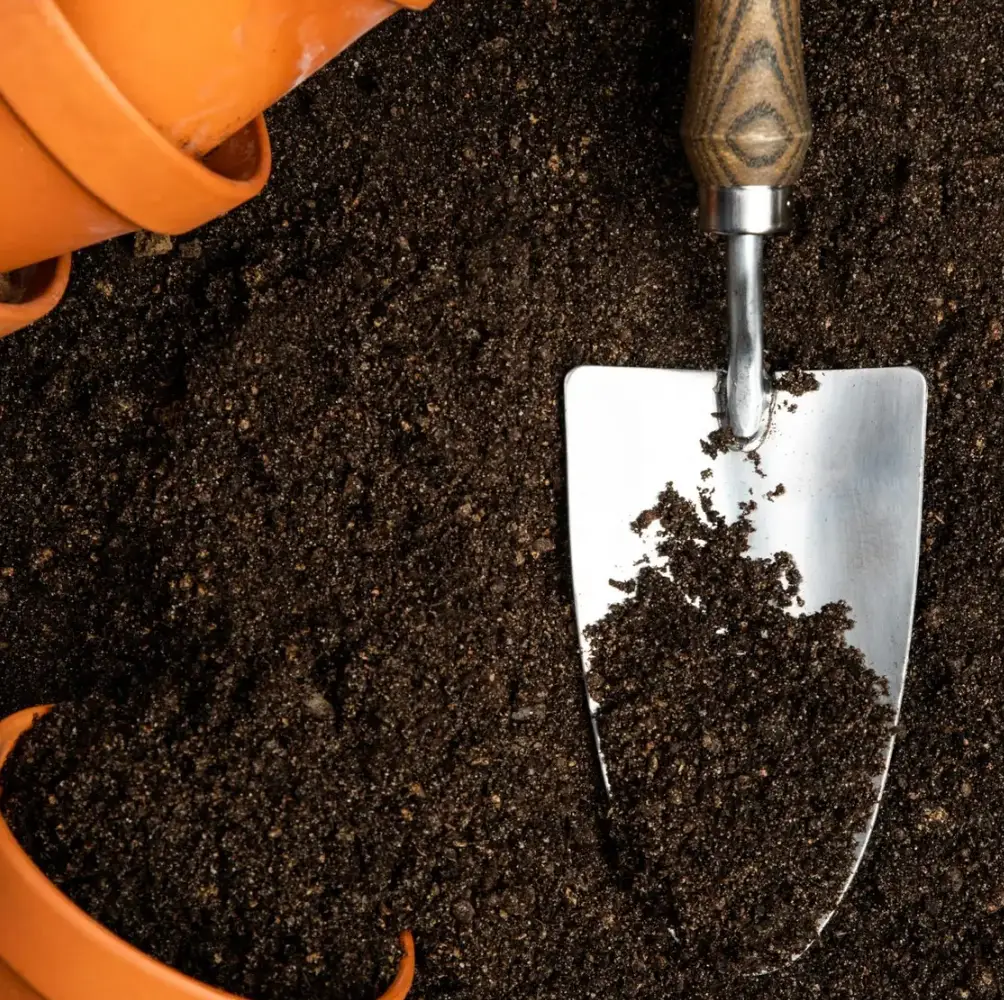 cheap soil uk nationwide delivery sandy lane nursery