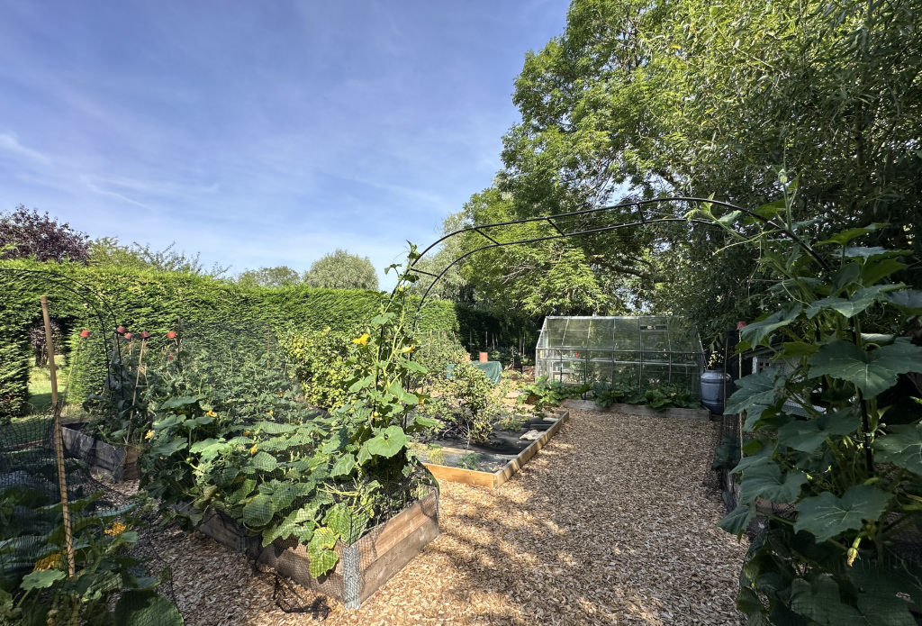 guest blogger rikki webster Instagram @theguysatgreenacre for sandy lane nursery